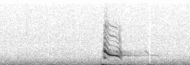 Клушиця [група pyrrhocorax] - ML60495