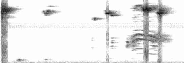 Пересмішник сірий - ML604957261