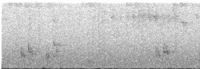 アカオマユミソサザイ（euophrys グループ） - ML604958381