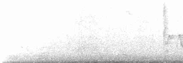 Connecticut Warbler - ML604963201