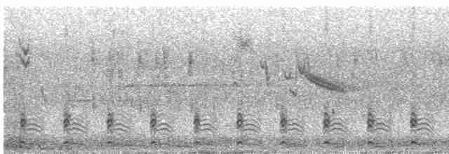 חרטומית אפריקנית - ML604975501