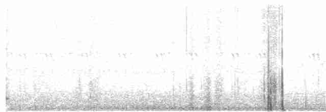 Black-billed Cuckoo - ML60499531