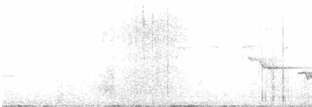 Weißbrauen-Heckensänger [leucophrys-Gruppe] - ML605003561