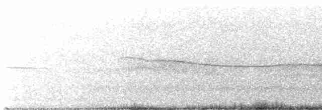 Mississippi Kite - ML605016881