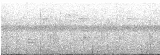 Fischadler (carolinensis) - ML605029431