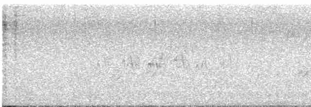 Black-throated Gray Warbler - ML605054221