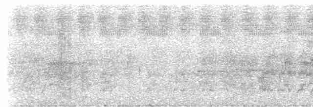 Weißschulter-Ameisenvogel - ML605094701