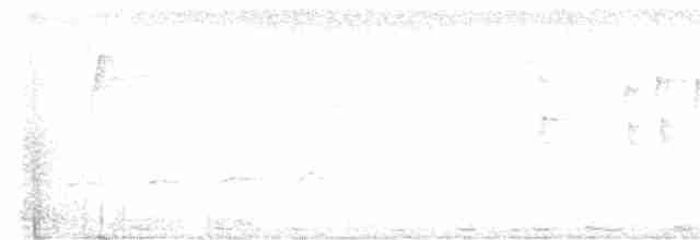Вилохвостая дронговая кукушка - ML605122191