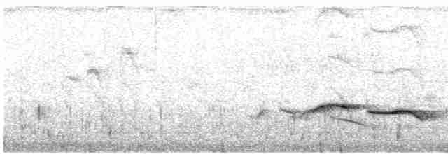 Puff-throated Babbler - ML605149741