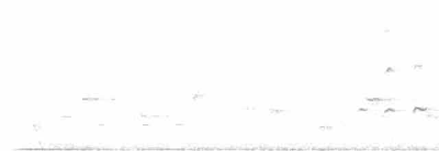 Серогрудая дриада - ML605184341