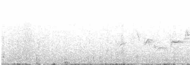 Warbling Vireo (Western) - ML605198001
