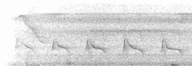 Yungas Tırmaşığı [tanımlanmamış form] - ML605200361