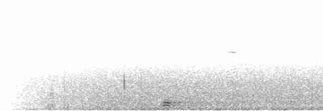 Great Hornbill - ML605202021