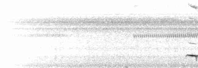 Мурашниця гуануцька - ML605202431