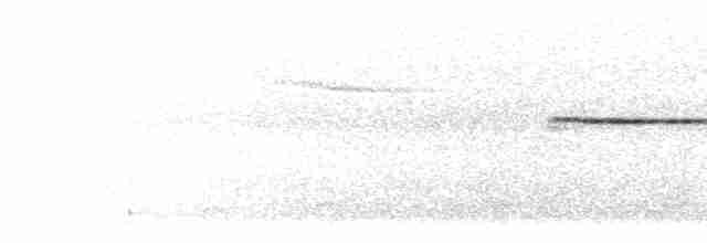Малая бесхвостка - ML605202461