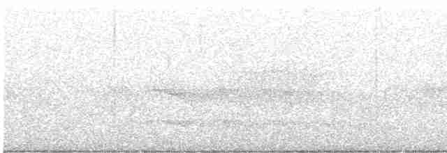 krahujec besra - ML605204081