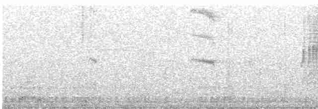 Paradoxornis de Verreaux - ML605205791