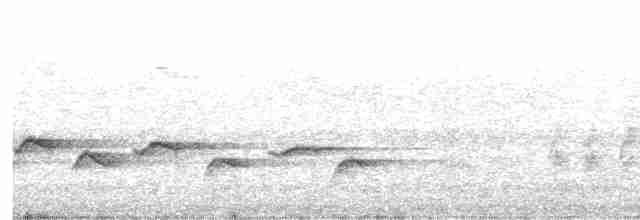 Spot-throated Babbler - ML605213821