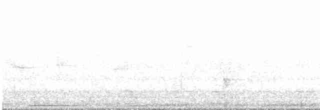 budníček černonohý - ML605214021