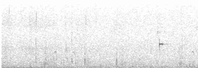 Шишкар ялиновий - ML605215221