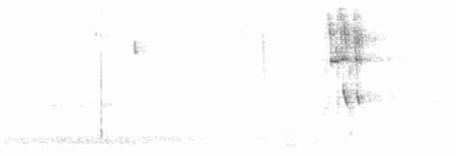 Grimpar porte-sabre - ML605224171