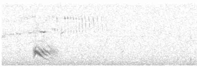 紅嘴山鴉 - ML605231211