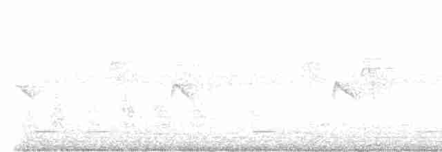 Sarı Karınlı Boreal Sinekkapan - ML605244601