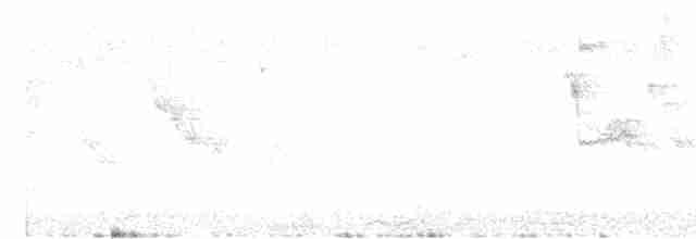 savannesølvnebb - ML605247761