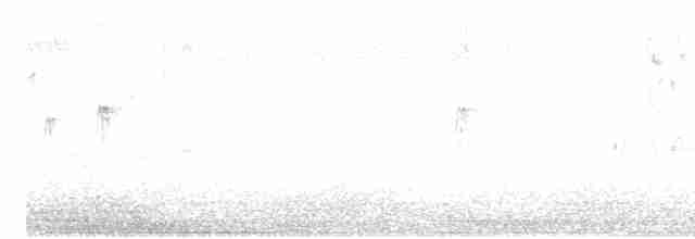 Сріблодзьоб чорногузий - ML605248171