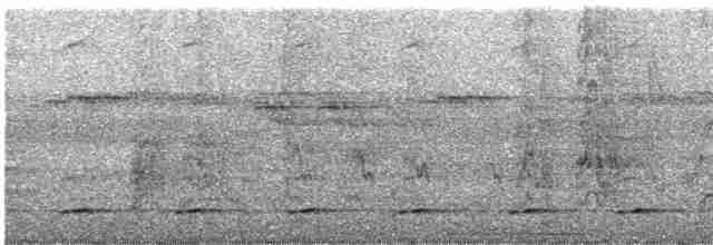 Сичик-горобець світлоголовий - ML605248951
