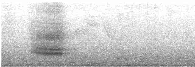 Toucan à ventre rouge - ML605252911