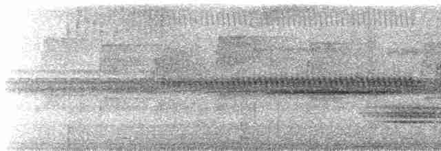 Дрізд-короткодзьоб андійський - ML605267821