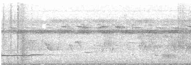 Кустарниковый скрытохвост - ML605270621