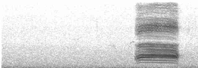 svartkråke - ML605272251