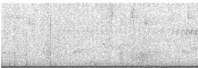 ユキヒメドリ（oreganus グループ） - ML605291481