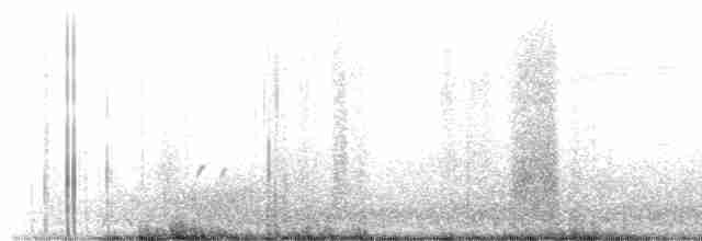 Uzun Kuyruklu Düdükçün - ML605299161