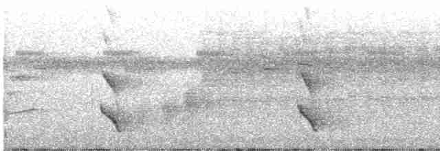 Mielero Carunculado de Viti Levu - ML605310051
