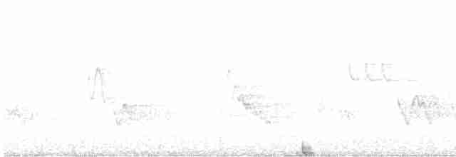 Cerulean Warbler - ML605365831