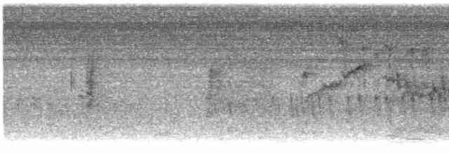 Gözlüklü Baştankara - ML605371501