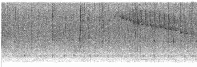 Mor Alınlı Kolibri - ML605371671