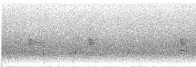 Мурашниця екваторіальна - ML605388921