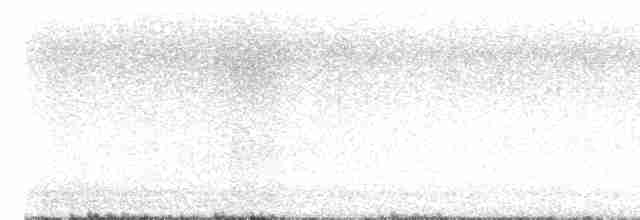 Weißflecken-Ameisenpitta - ML605409181