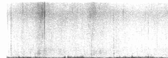 Weißflecken-Ameisenpitta - ML605409191