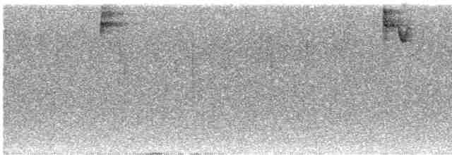 Ak Kaşlı Hemispingus [superciliaris grubu] - ML605436091