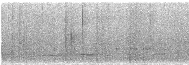 Андигена строкатодзьоба - ML605472431