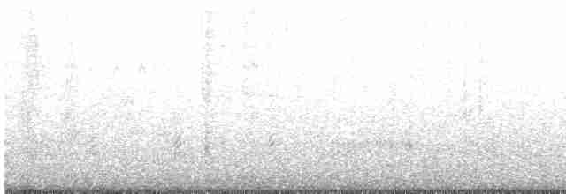 alkoun holubí - ML605504321