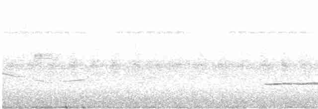 Белогрудый крапивник - ML605513041