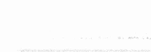 Kaya Kekliği - ML605516521