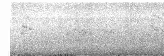 Lesser Crested Tern - ML605529131