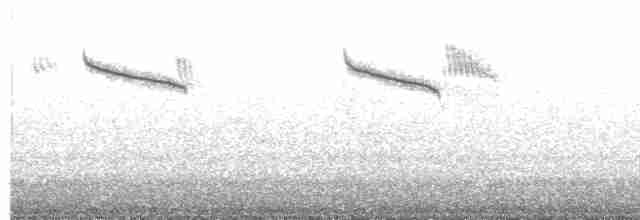 White-browed Tit-Warbler - ML605566001